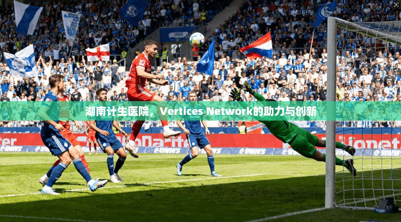 湖南计生医院，Vertices Network的助力与创新