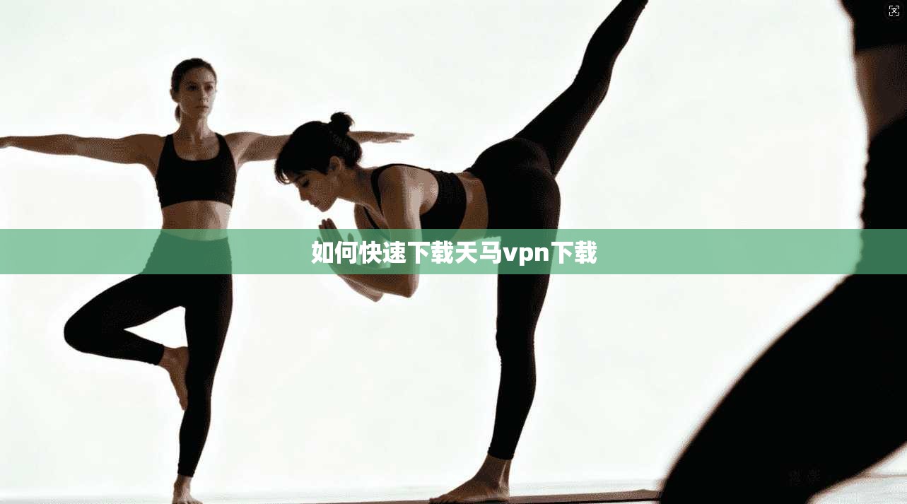 如何快速下载天马vpn下载