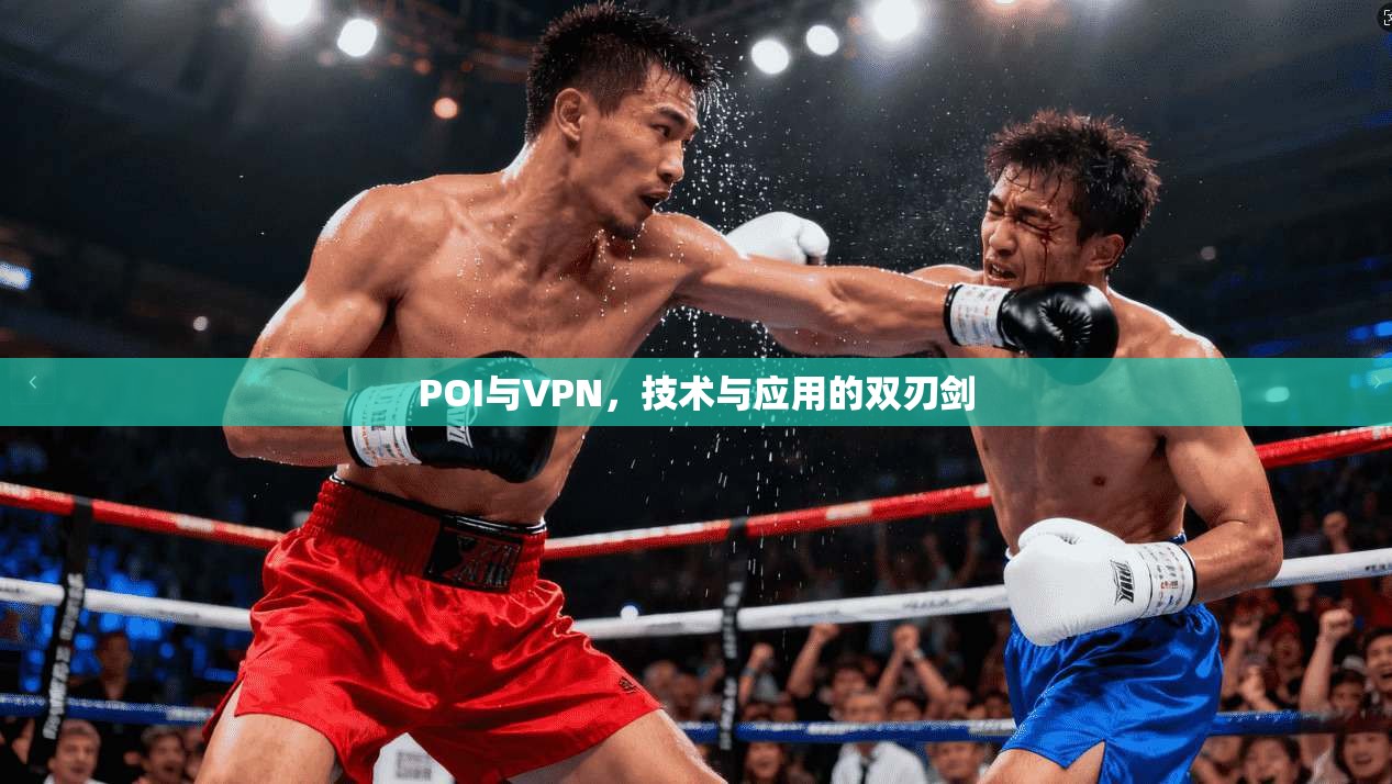 POI与VPN,技术与应用的双刃剑 第1张 POI与VPN,技术与应用的双刃剑 第1张