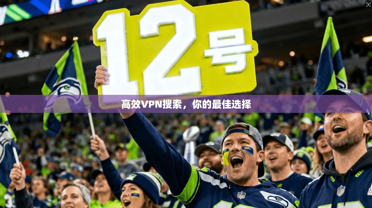 高效VPN搜索，你的最佳选择  第1张