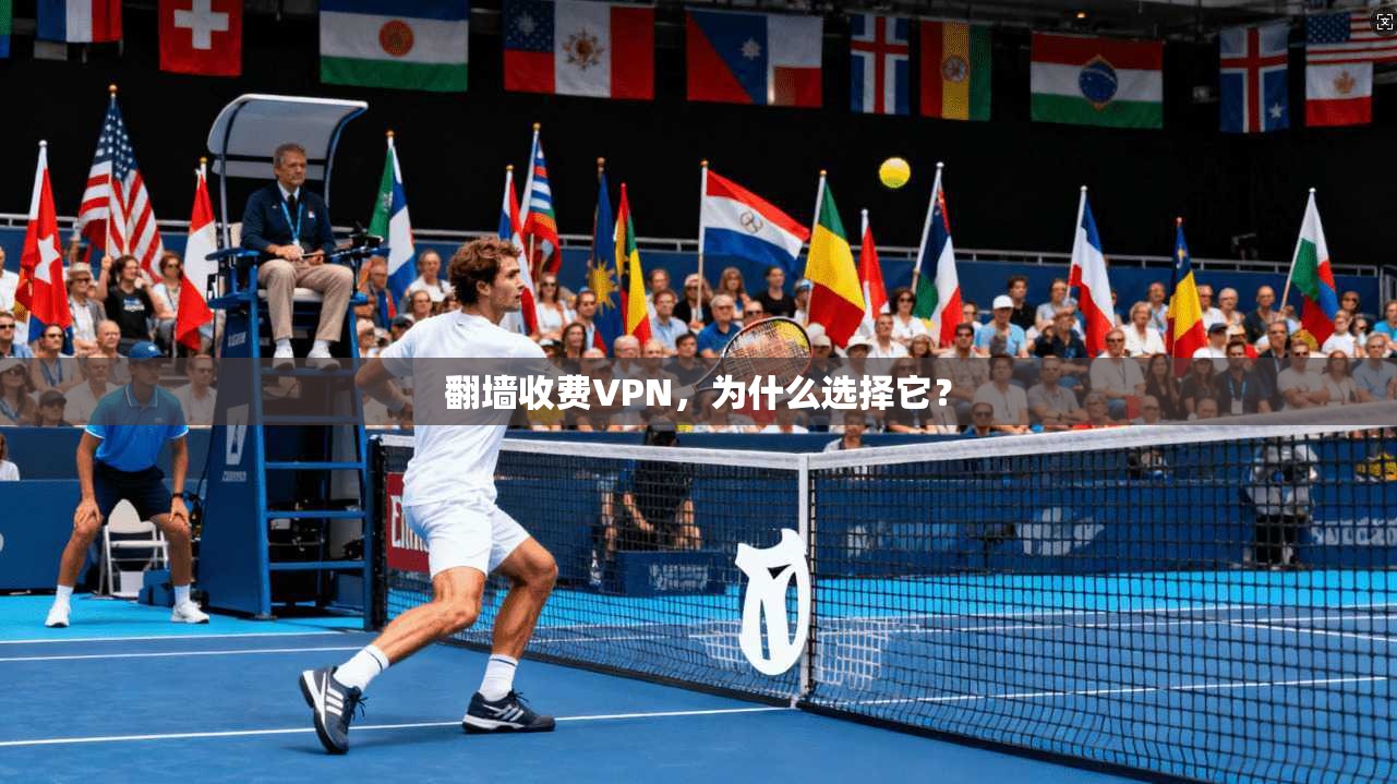 翻墙收费VPN，为什么选择它？  第1张