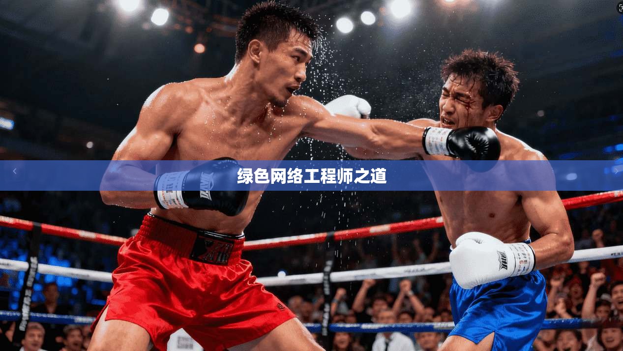 绿色网络工程师之道