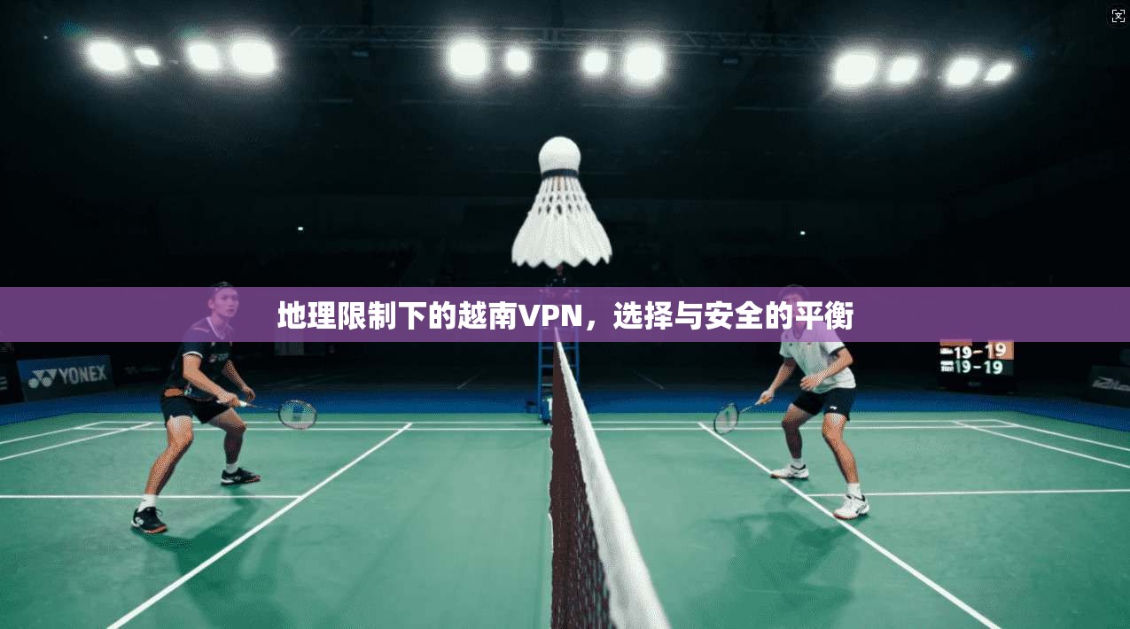 地理限制下的越南VPN，选择与安全的平衡