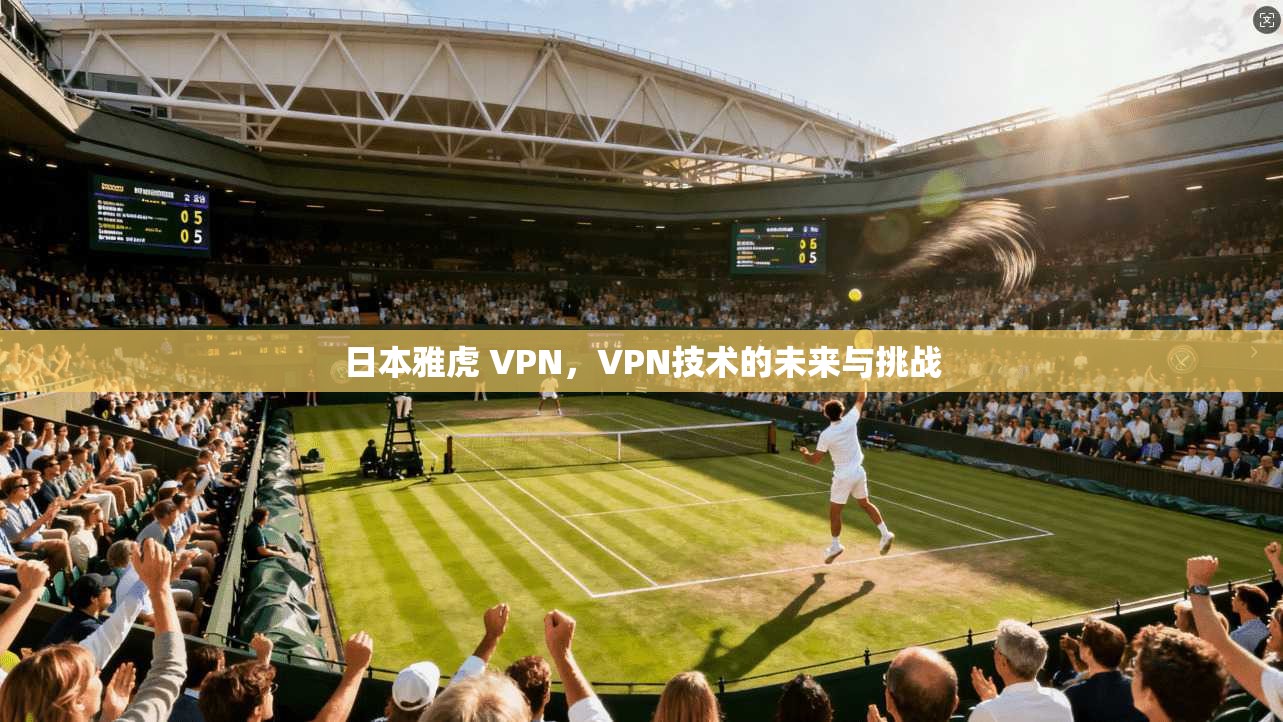 日本雅虎 VPN，VPN技术的未来与挑战