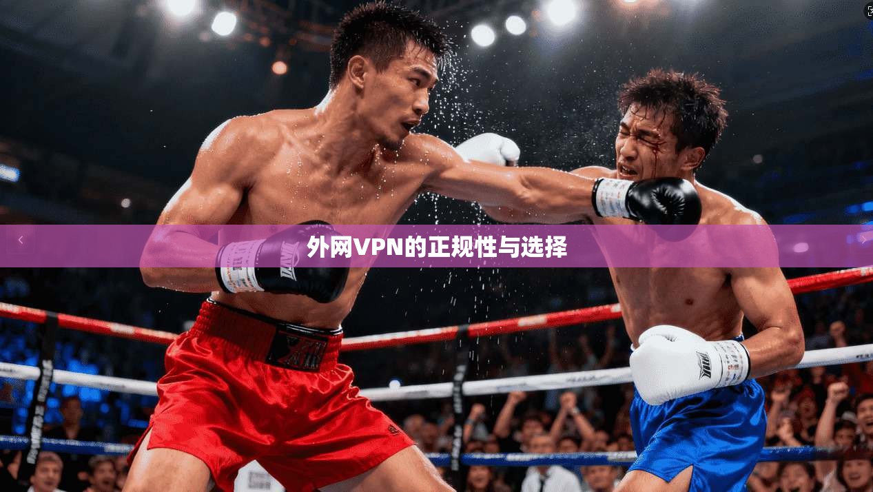 外网VPN的正规性与选择 第1张 外网VPN的正规性与选择 第1张