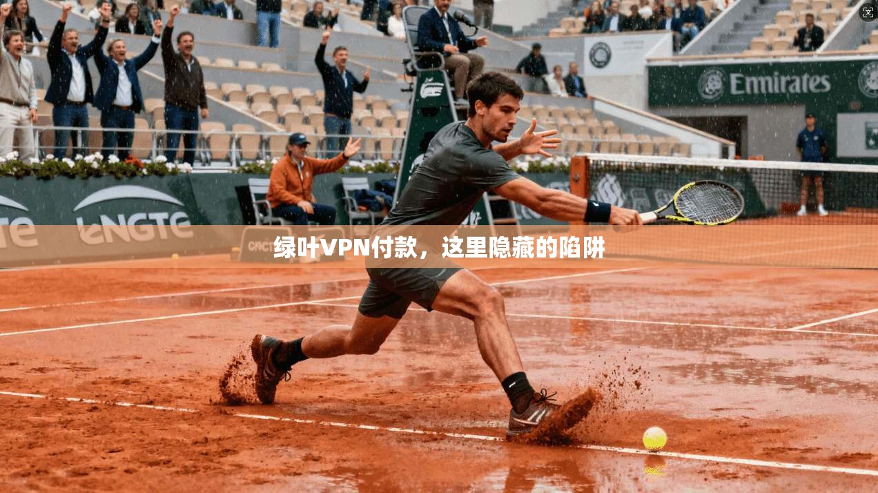 绿叶VPN付款，这里隐藏的陷阱