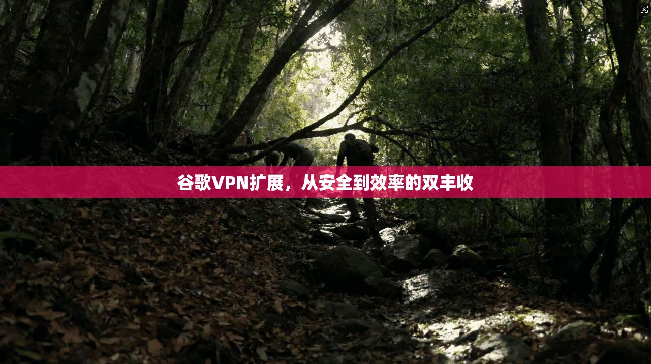 谷歌VPN扩展,从安全到效率的双丰收 第1张 谷歌VPN扩展,从安全到效率的双丰收 第1张