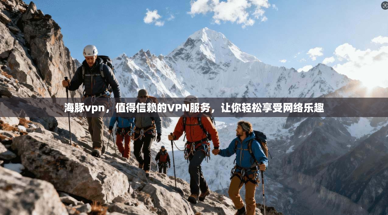 海豚vpn，值得信赖的VPN服务，让你轻松享受网络乐趣  第1张