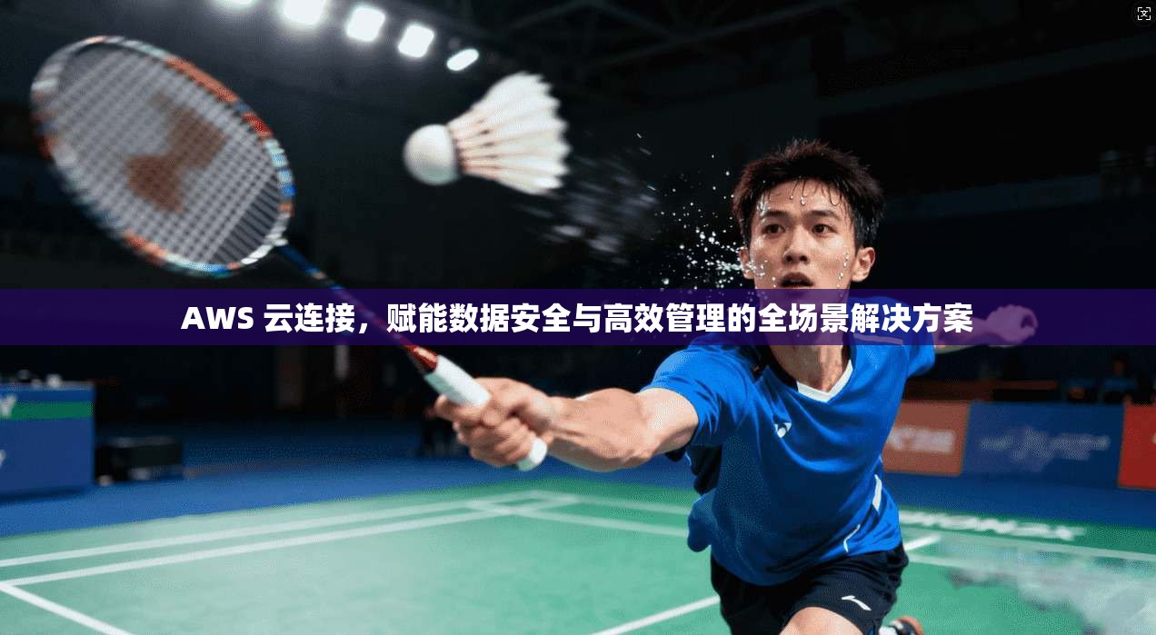 AWS 云连接，赋能数据安全与高效管理的全场景解决方案