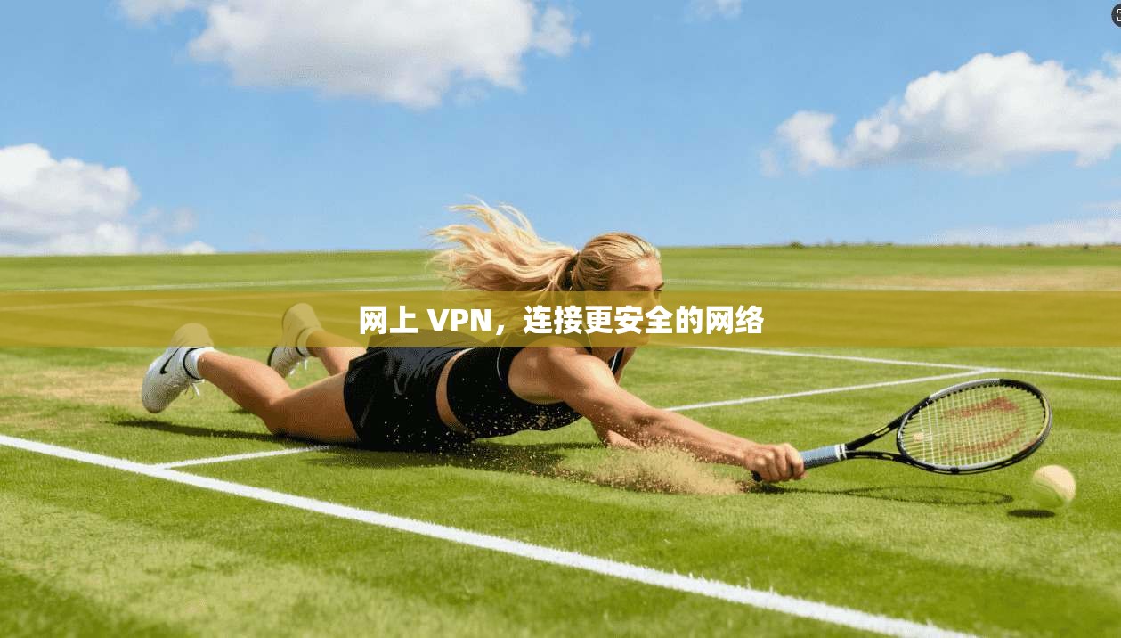 网上 VPN，连接更安全的网络  第1张