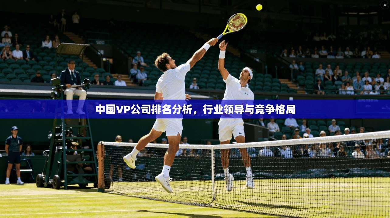 中国VP公司排名分析，行业领导与竞争格局  第1张
