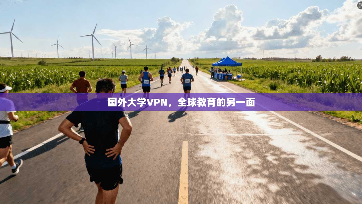 国外大学VPN，全球教育的另一面