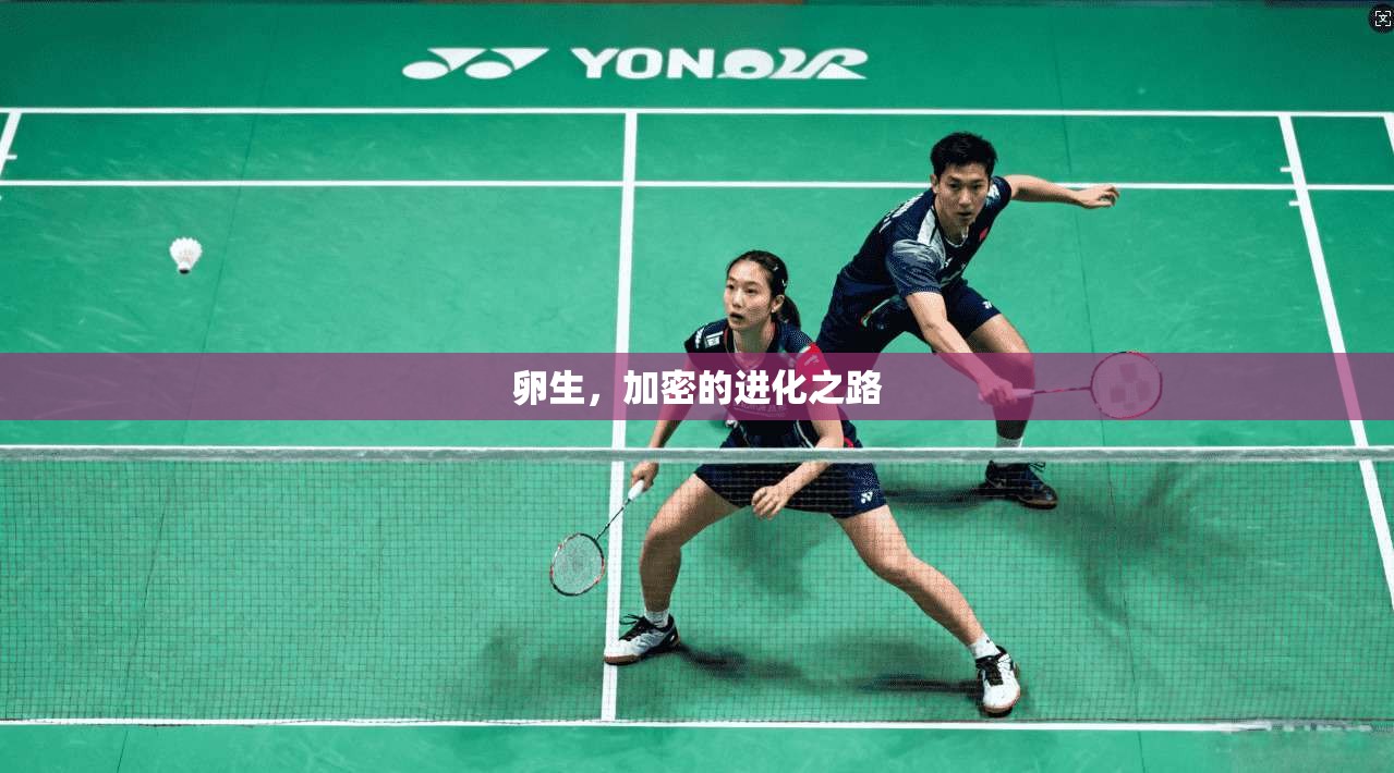 卵生，加密的进化之路