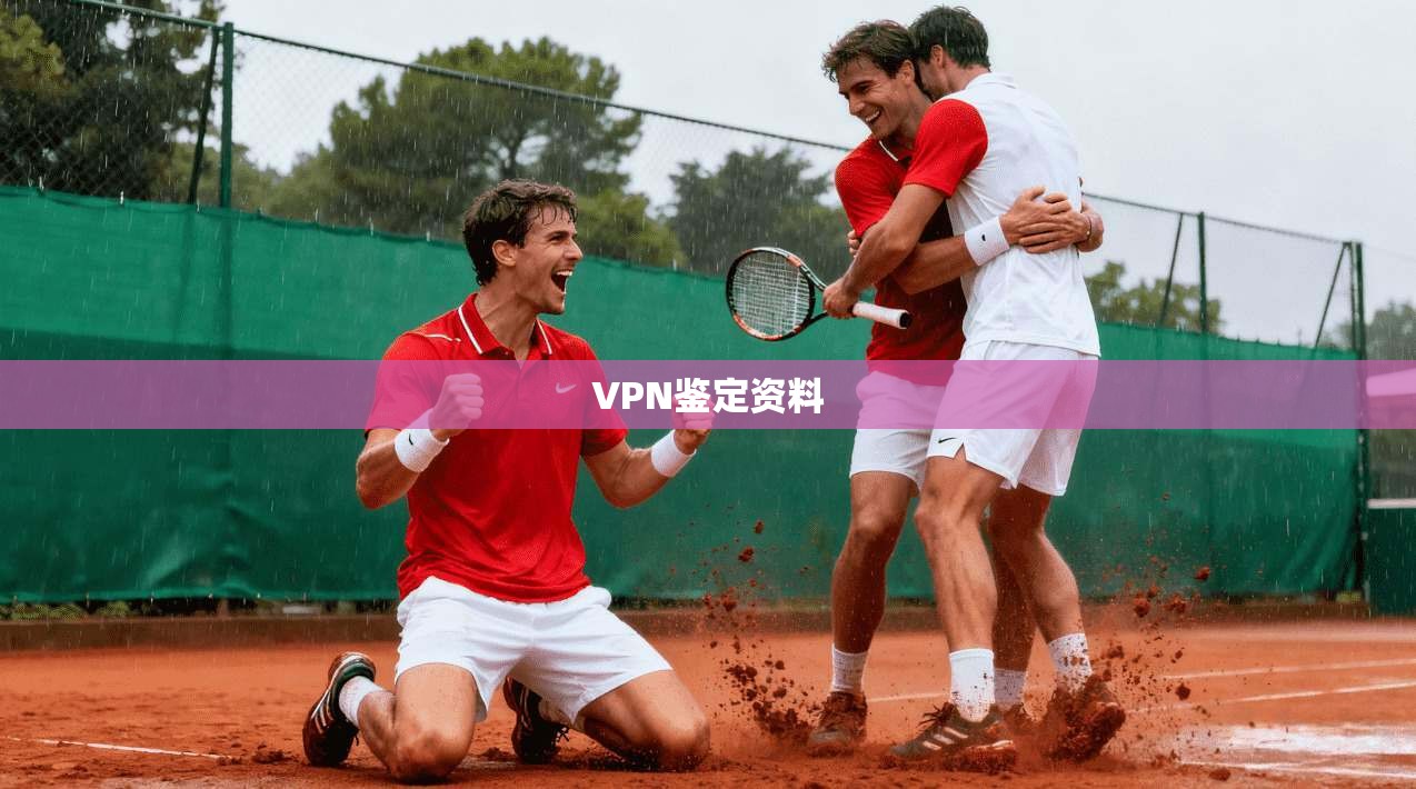 VPN鉴定资料
