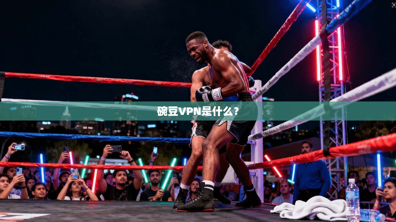 碗豆VPN是什么？