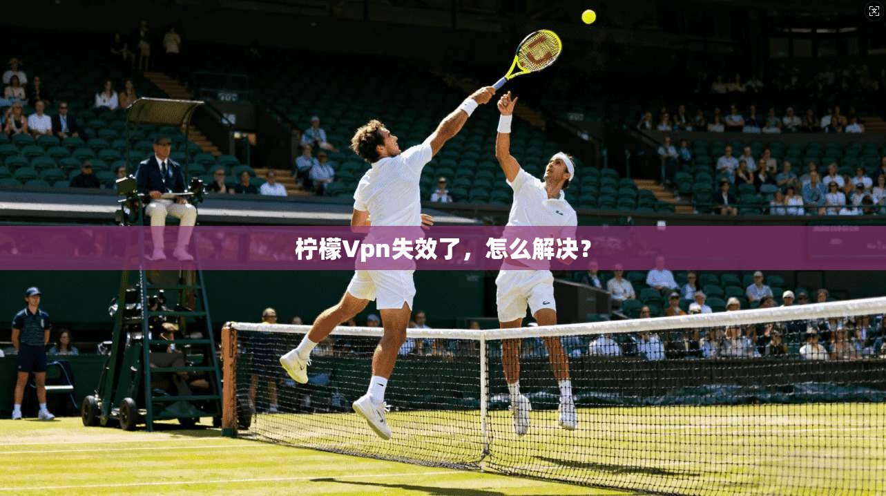 柠檬Vpn失效了，怎么解决？  第1张