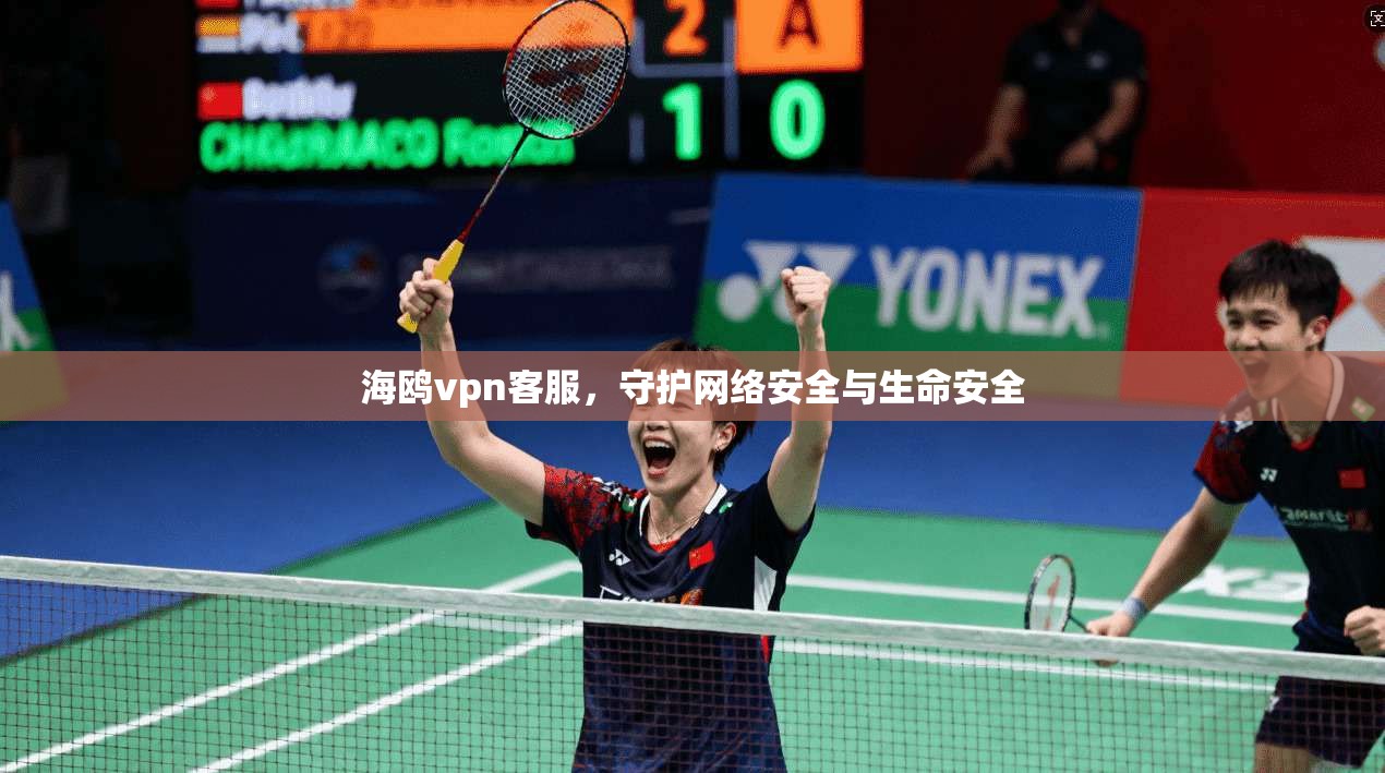 海鸥vpn客服，守护网络安全与生命安全