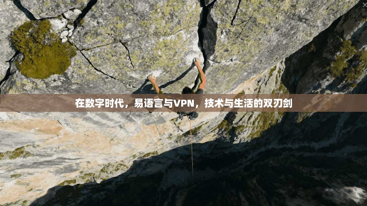 在数字时代,易语言与VPN,技术与生活的双刃剑 第1张 在数字时代,易语言与VPN,技术与生活的双刃剑 第1张