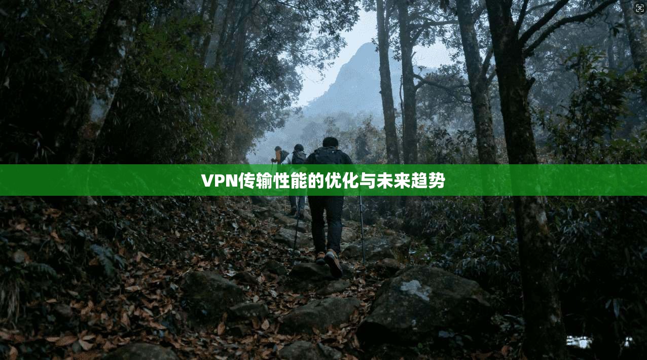VPN传输性能的优化与未来趋势