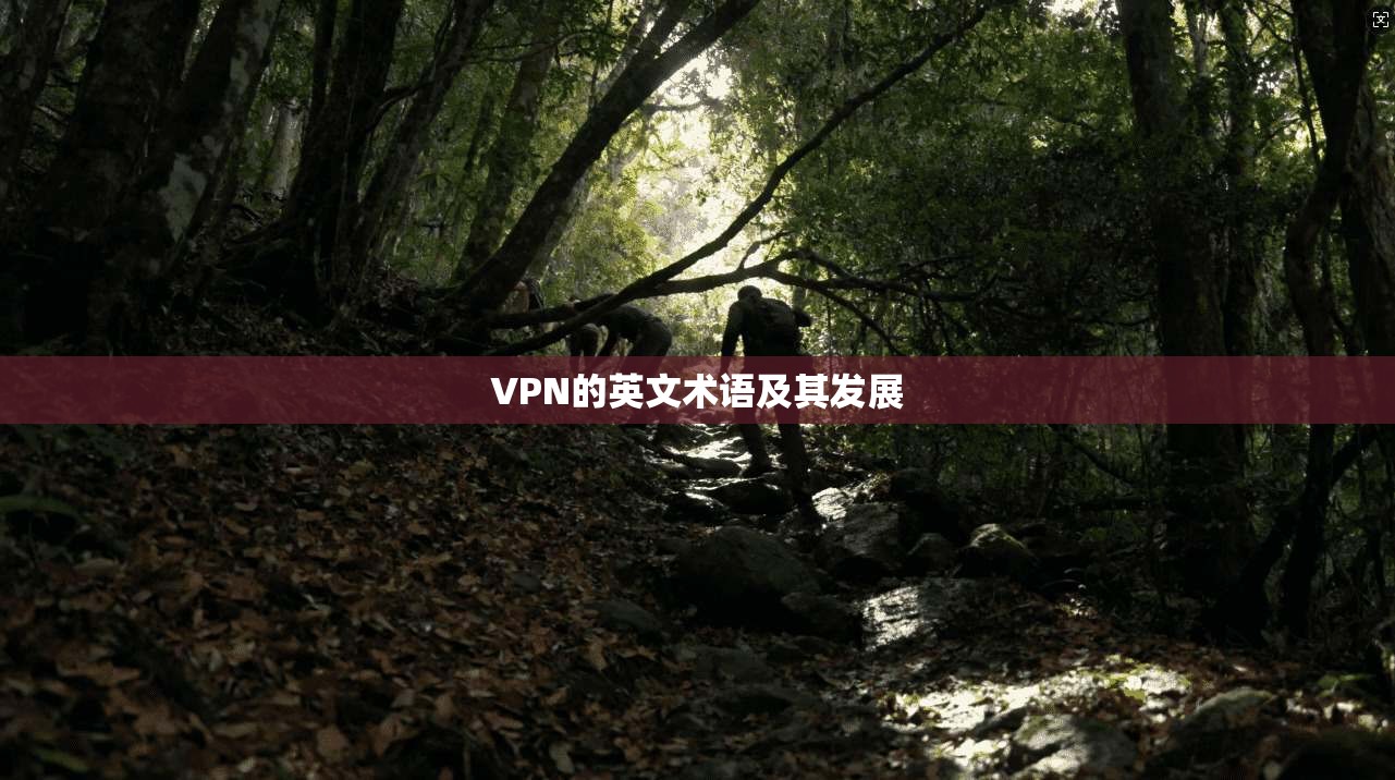 VPN的英文术语及其发展  第1张