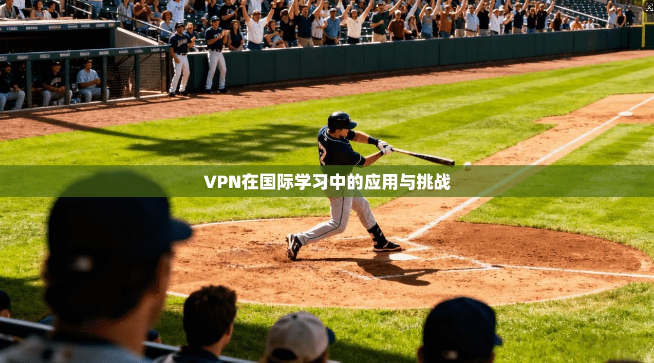 VPN在国际学习中的应用与挑战
