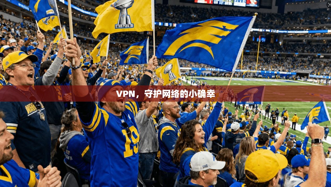 VPN,守护网络的小确幸 第1张 VPN,守护网络的小确幸 第1张