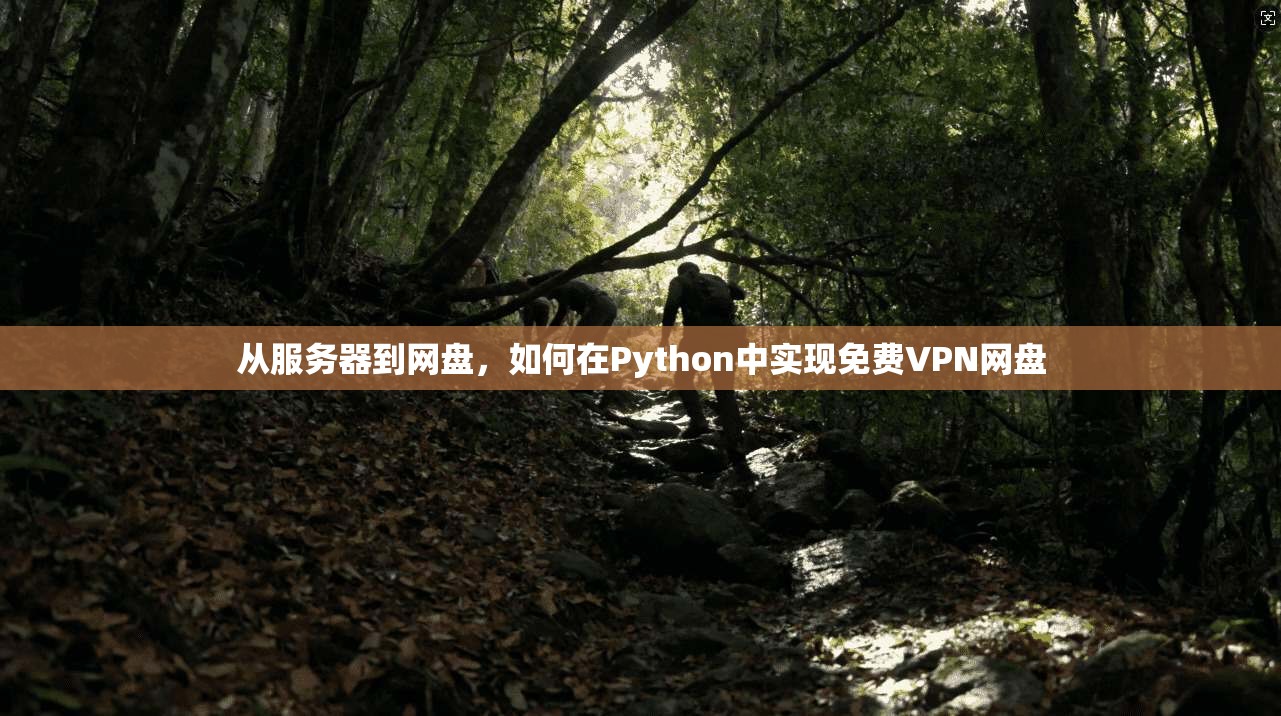 从服务器到网盘，如何在Python中实现免费VPN网盘