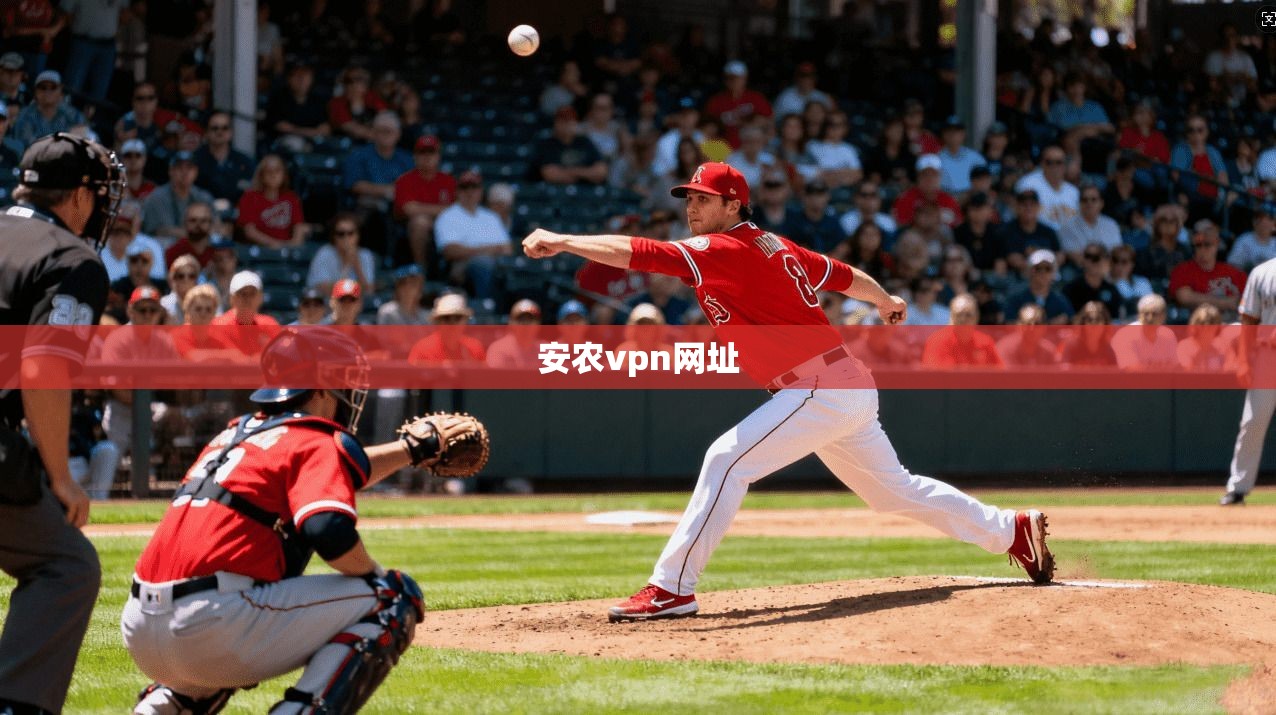 安农vpn网址 第1张 安农vpn网址 第1张