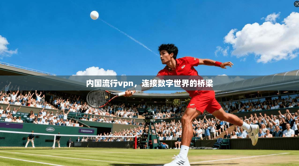 内国流行vpn，连接数字世界的桥梁