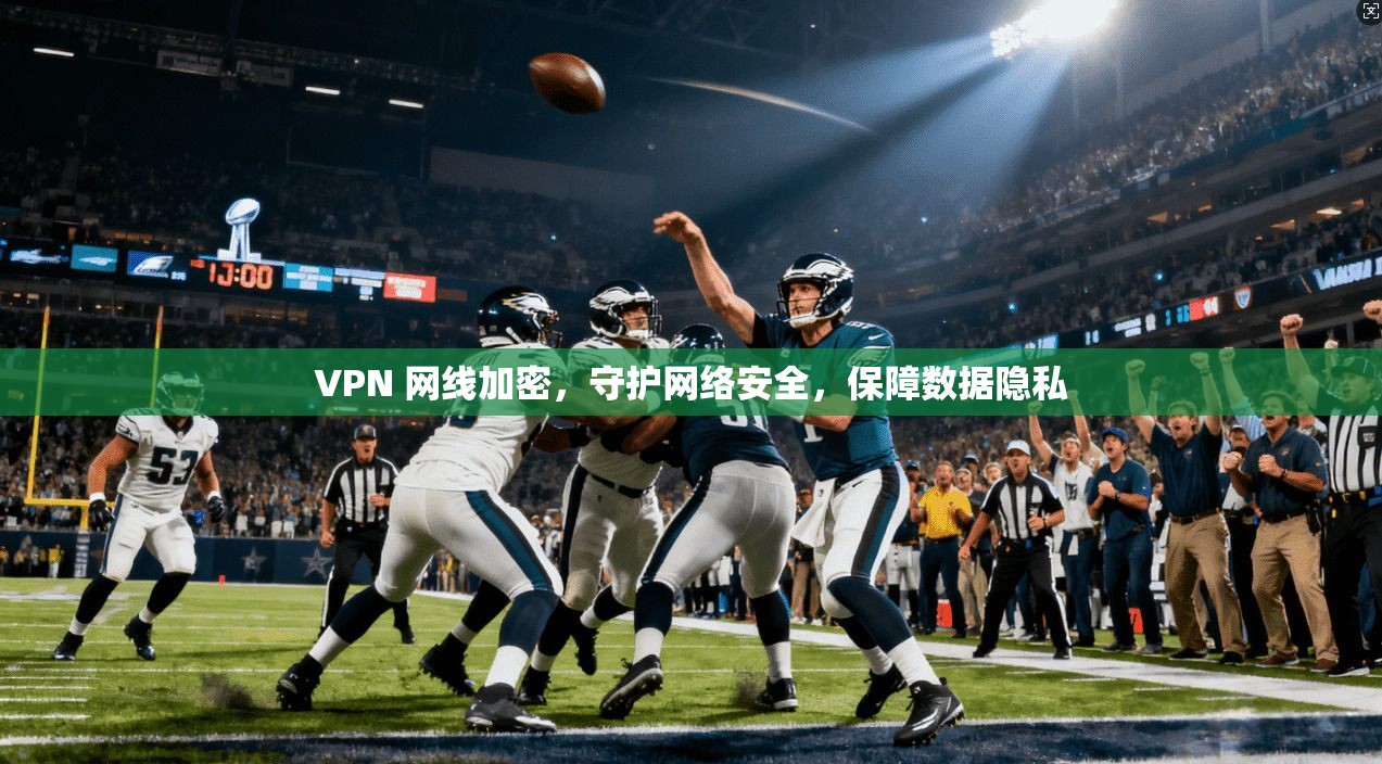 VPN 网线加密，守护网络安全，保障数据隐私
