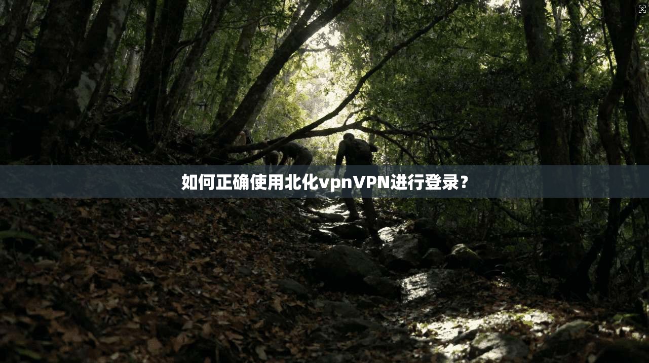 如何正确使用北化vpnVPN进行登录?