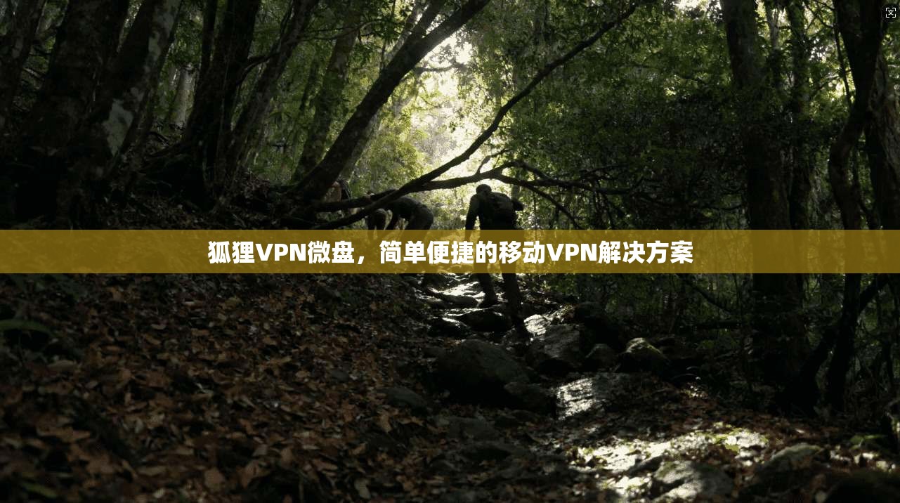 狐狸VPN微盘，简单便捷的移动VPN解决方案