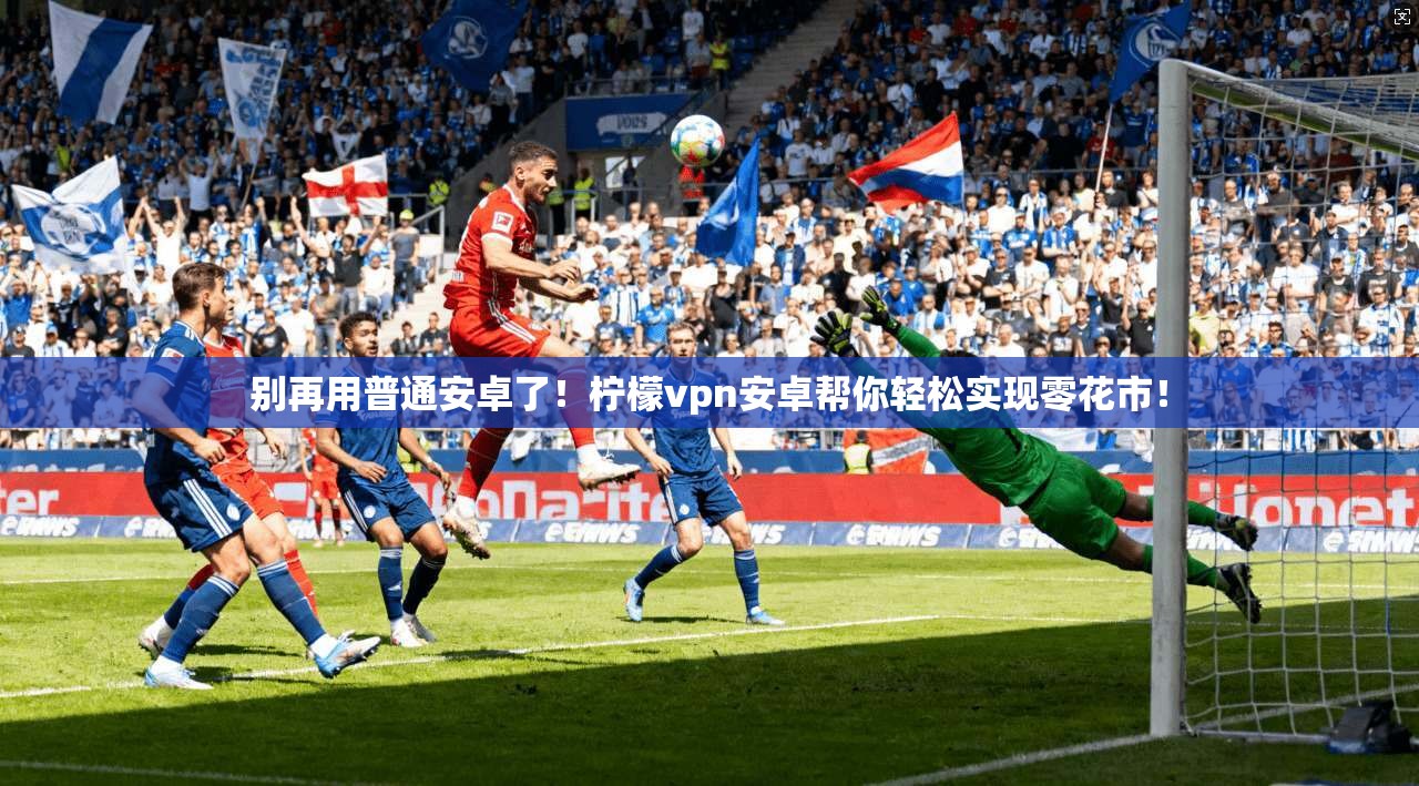 别再用普通安卓了！柠檬vpn安卓帮你轻松实现零花市！