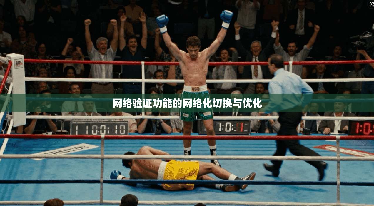 网络验证功能的网络化切换与优化