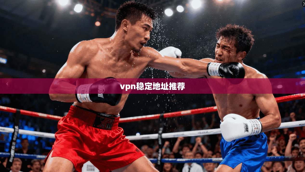 vpn稳定地址推荐