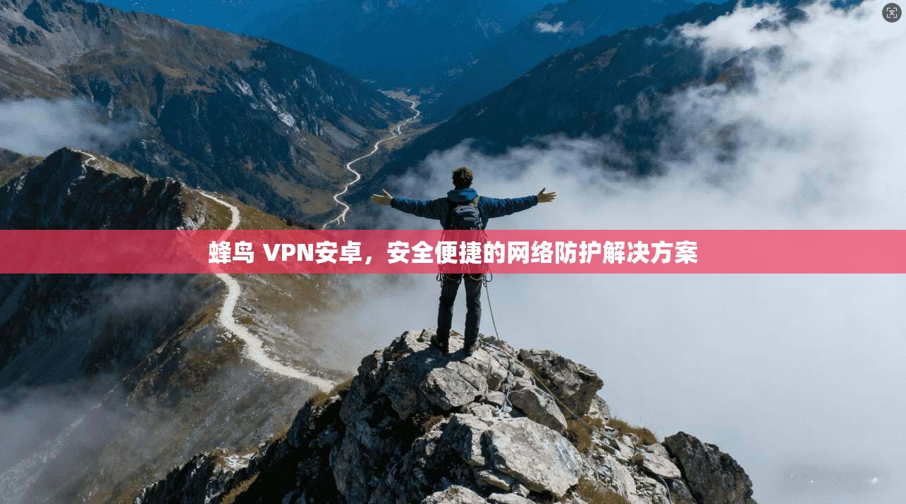 蜂鸟 VPN安卓，安全便捷的网络防护解决方案