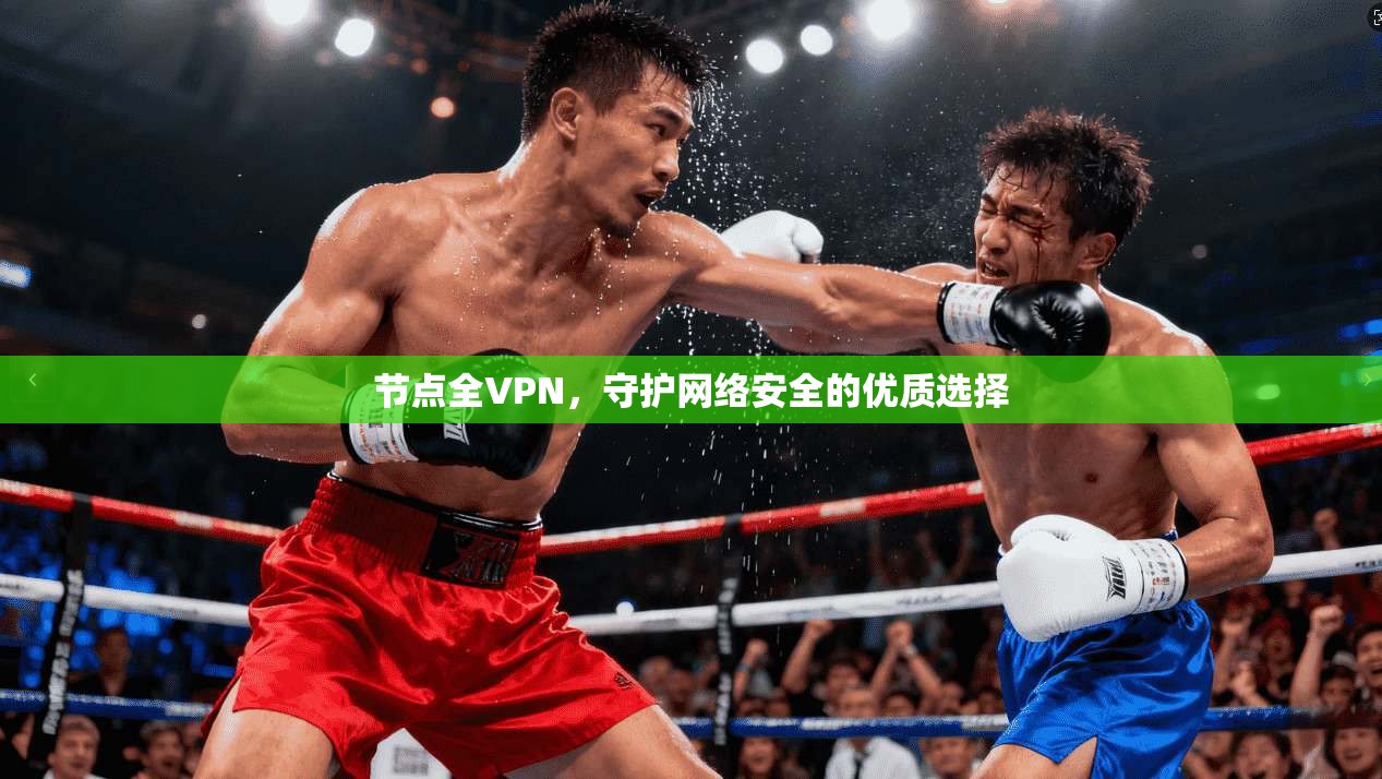 节点全VPN,守护网络安全的优质选择