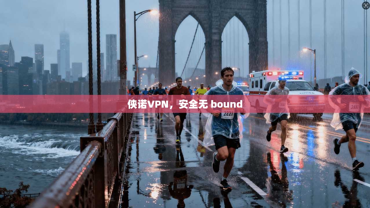 侠诺VPN，安全无 bound