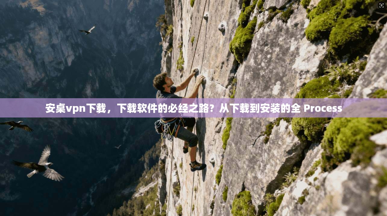 安桌vpn下载,下载软件的必经之路?从下载到安装的全 Process