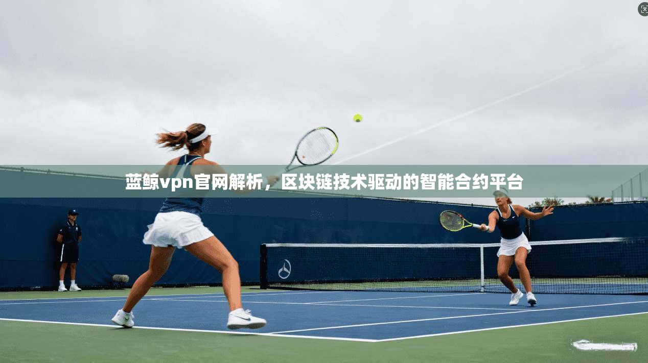 蓝鲸vpn官网解析，区块链技术驱动的智能合约平台