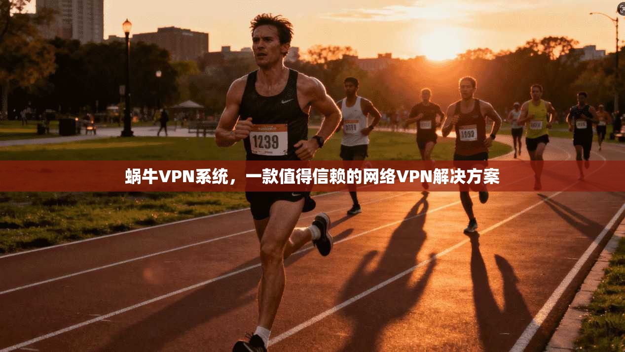 蜗牛VPN系统，一款值得信赖的网络VPN解决方案