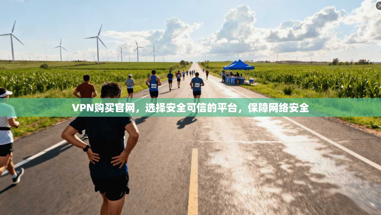 VPN购买官网，选择安全可信的平台，保障网络安全