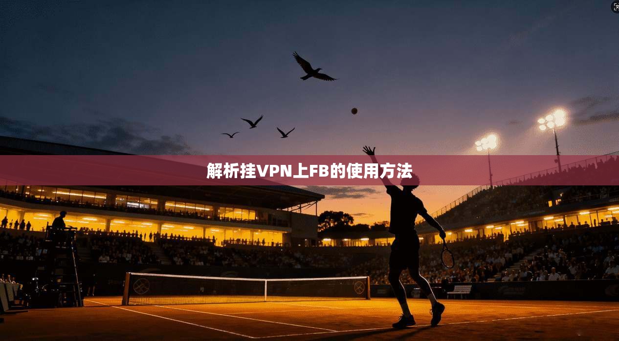 解析挂VPN上FB的使用方法  第1张