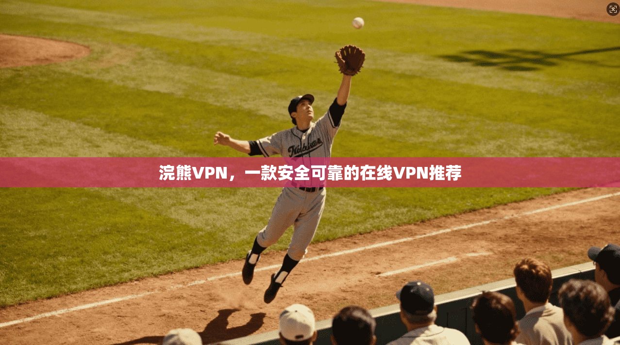 浣熊VPN，一款安全可靠的在线VPN推荐  第1张