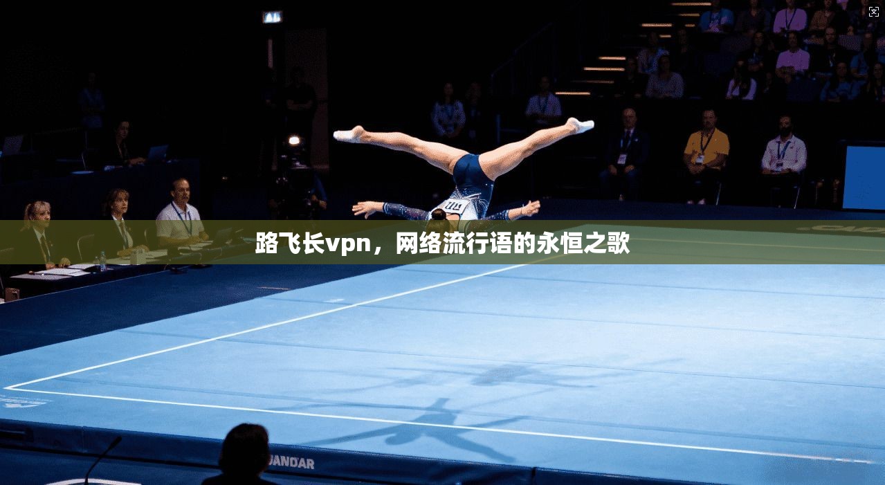 路飞长vpn，网络流行语的永恒之歌  第1张