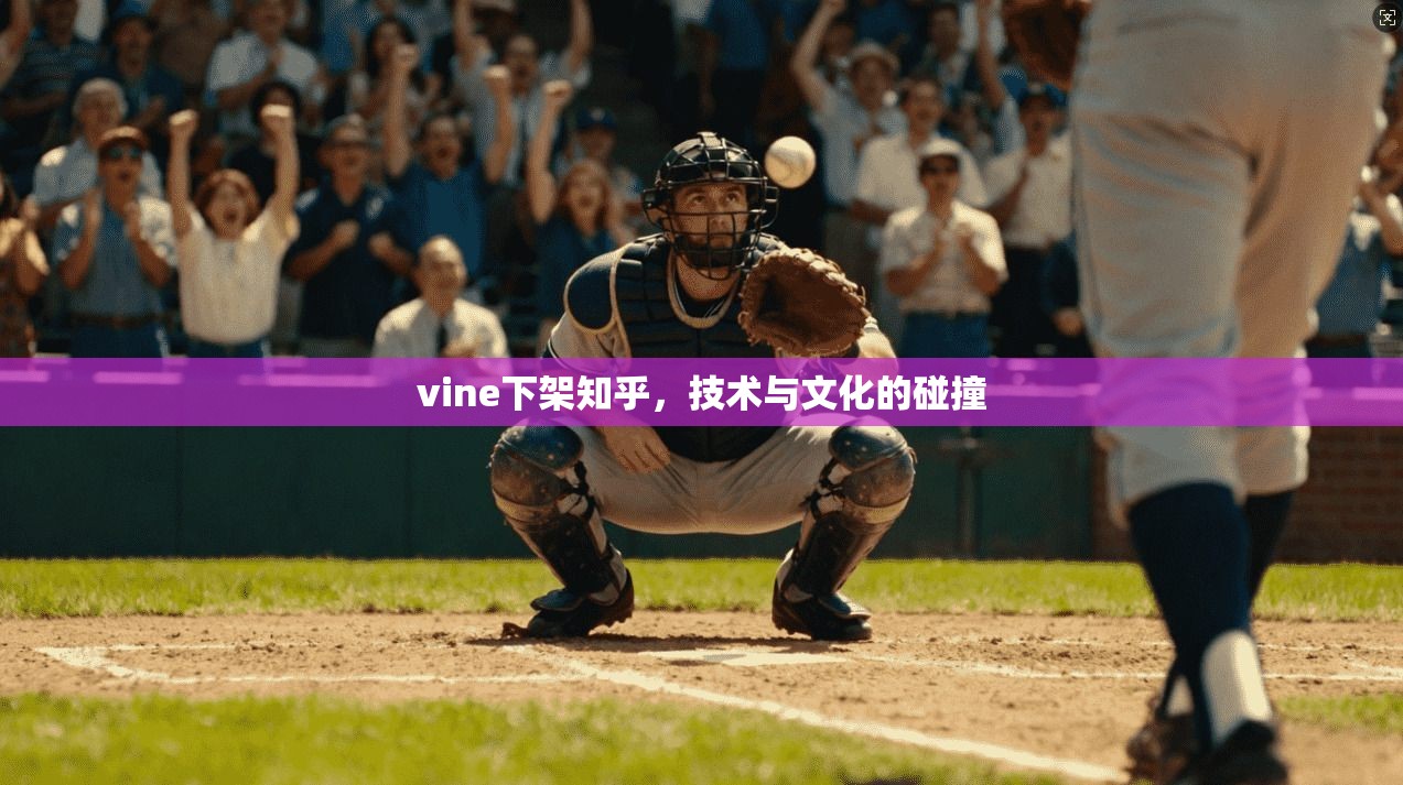 vine下架知乎,技术与文化的碰撞