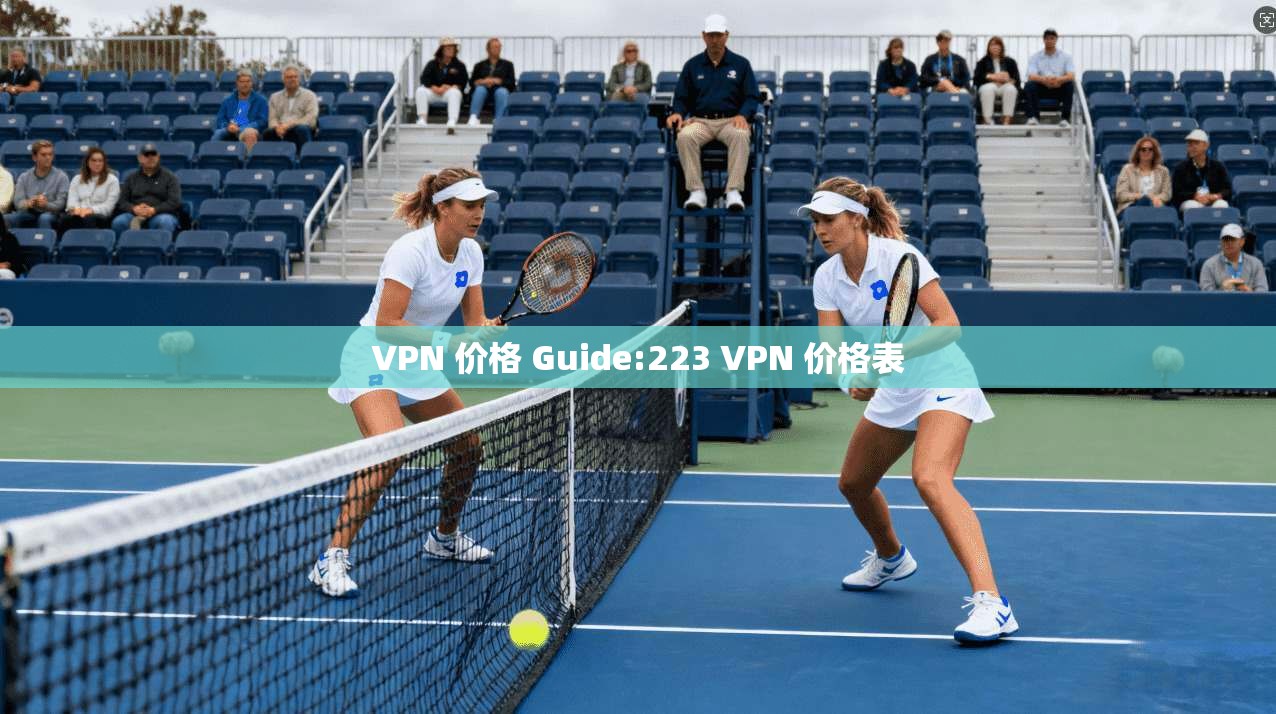 VPN 价格 Guide:223 价格表  第1张