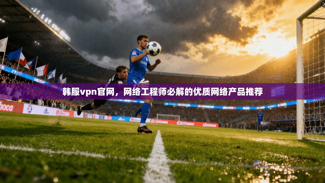 韩服vpn官网，网络工程师必解的优质网络产品推荐