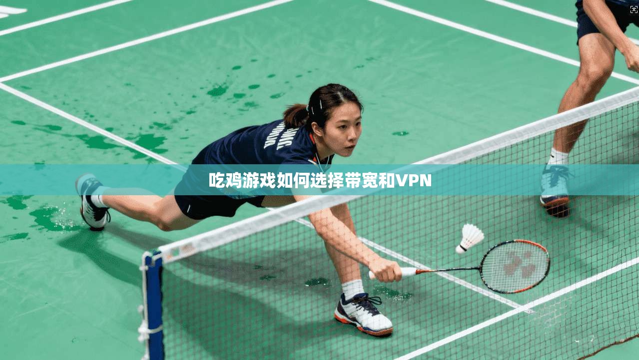 吃鸡游戏如何选择带宽和VPN 第1张 吃鸡游戏如何选择带宽和VPN 第1张