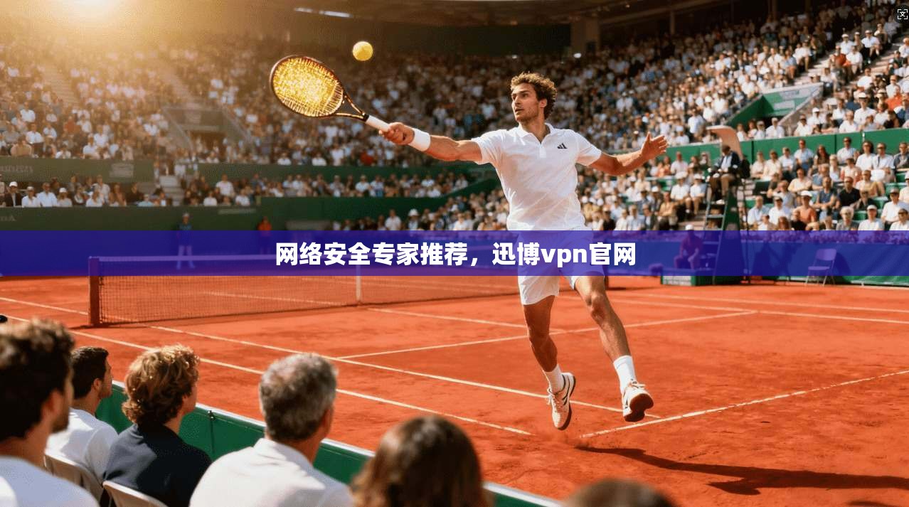网络安全专家推荐，迅博vpn官网  第1张